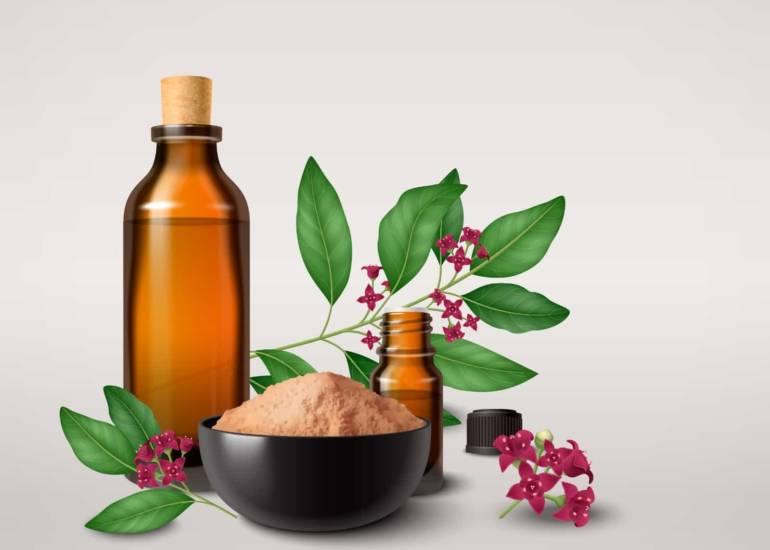 Unlocking the Power of Unani Medicine: Ancient Wisdom for Modern Health